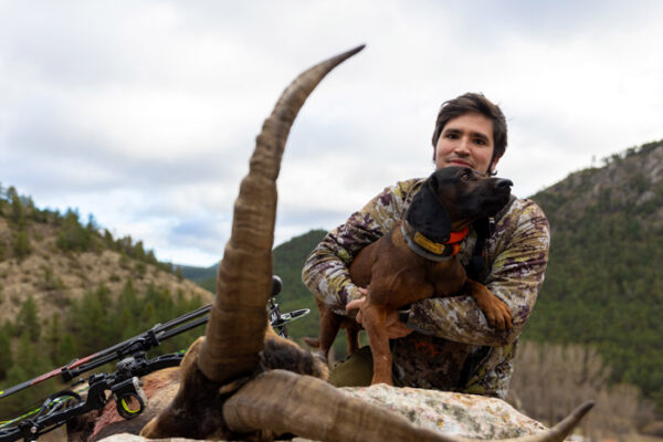 beceite ibex hunting