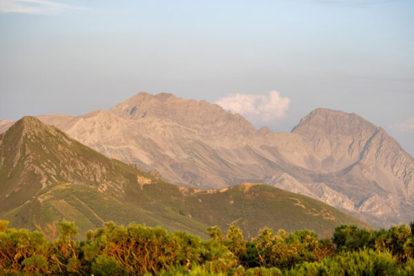 cantabrian mountain hunting excursion