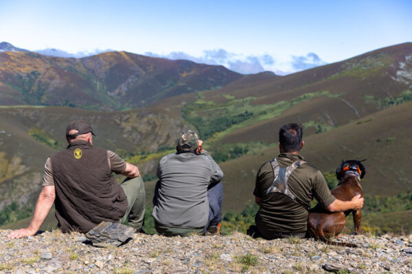 guided hunting cantabrian chamois hunt