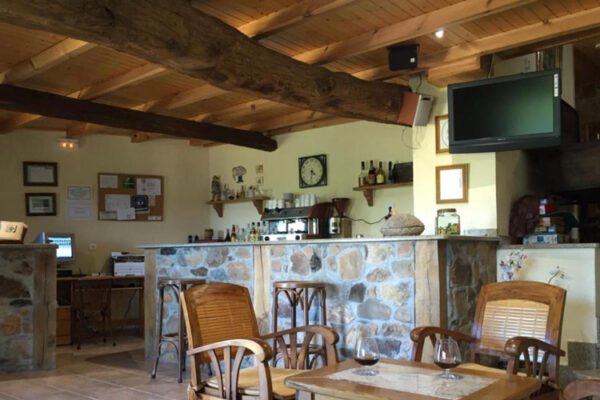 hotel ana accommodation hunting cantabrian chamois