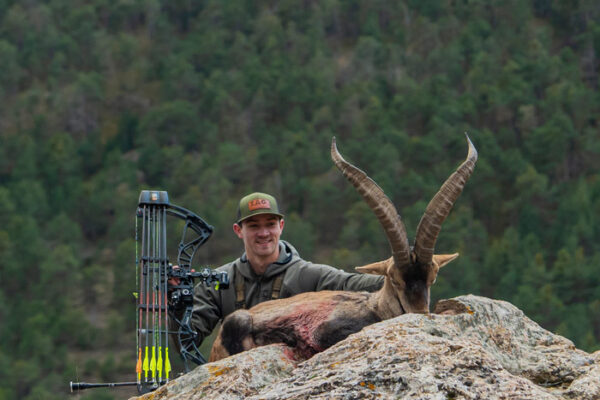 price ronda ibex hunt