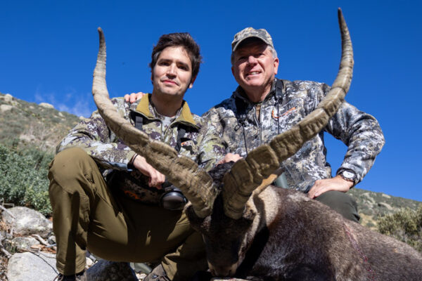 prices hunting southeastern ibex