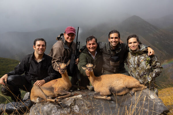 cantabrian chamois hunt trophy hunting