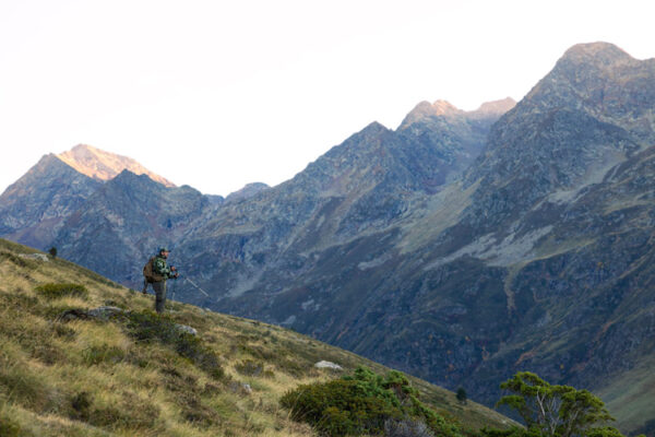 guided hunts in spain gold pyrenean chamois