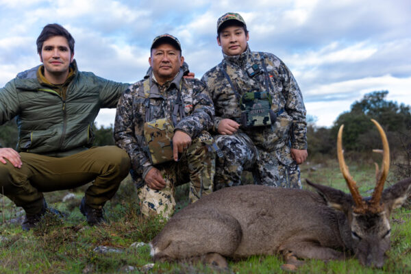 guided roe deer hunts in spain
