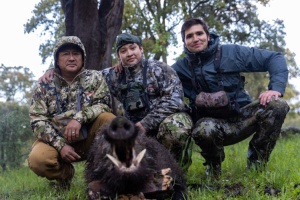 hunting bronze wild boar in spain