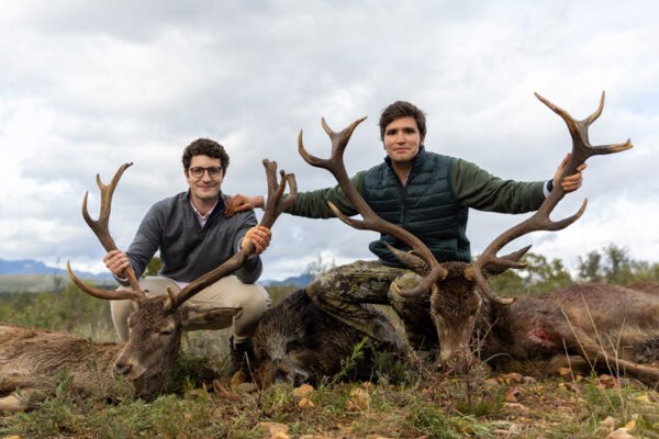 hunting experience hunting deer monteria in spain