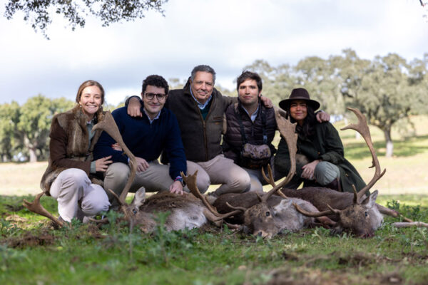 hunting fallow deer driven hunt in spain