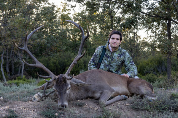hunting red deer driven hunt in spain