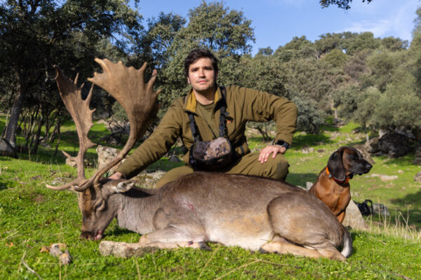 hunting silver fallow deer guided hunts in spain