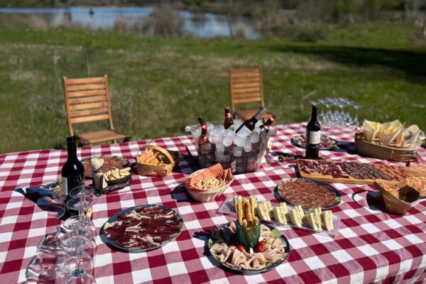 hunting trip bird hunting in spain