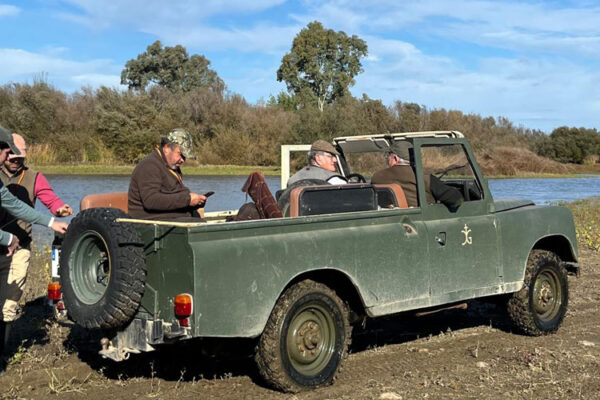 patridge shooting in spain