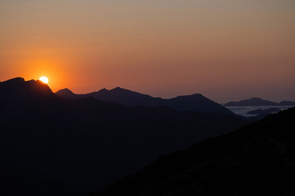 pyrenean mountain spanish huntig trip