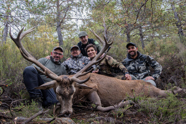hunting trip in spain hunt red stag