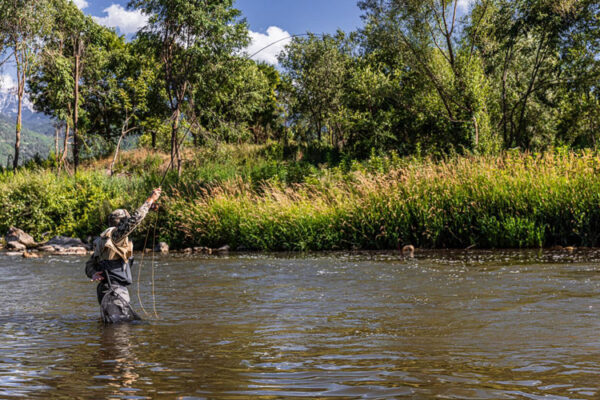 best company in spain trout fishing