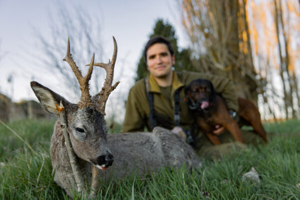 hunt roe deer in spain