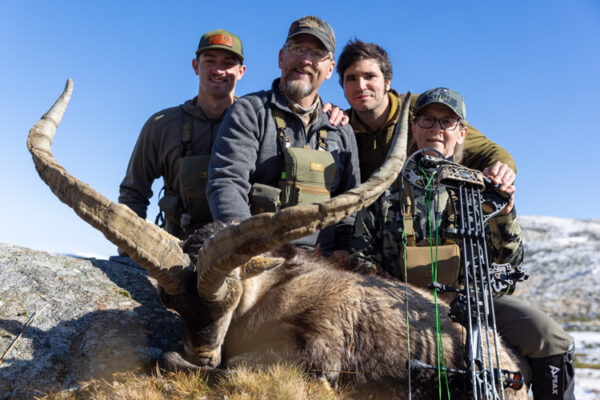 hunting ibex in spain