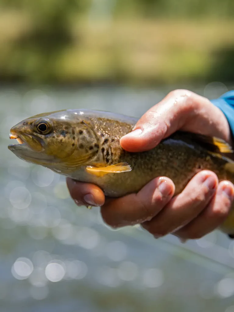 Fishing outfitter in Spain