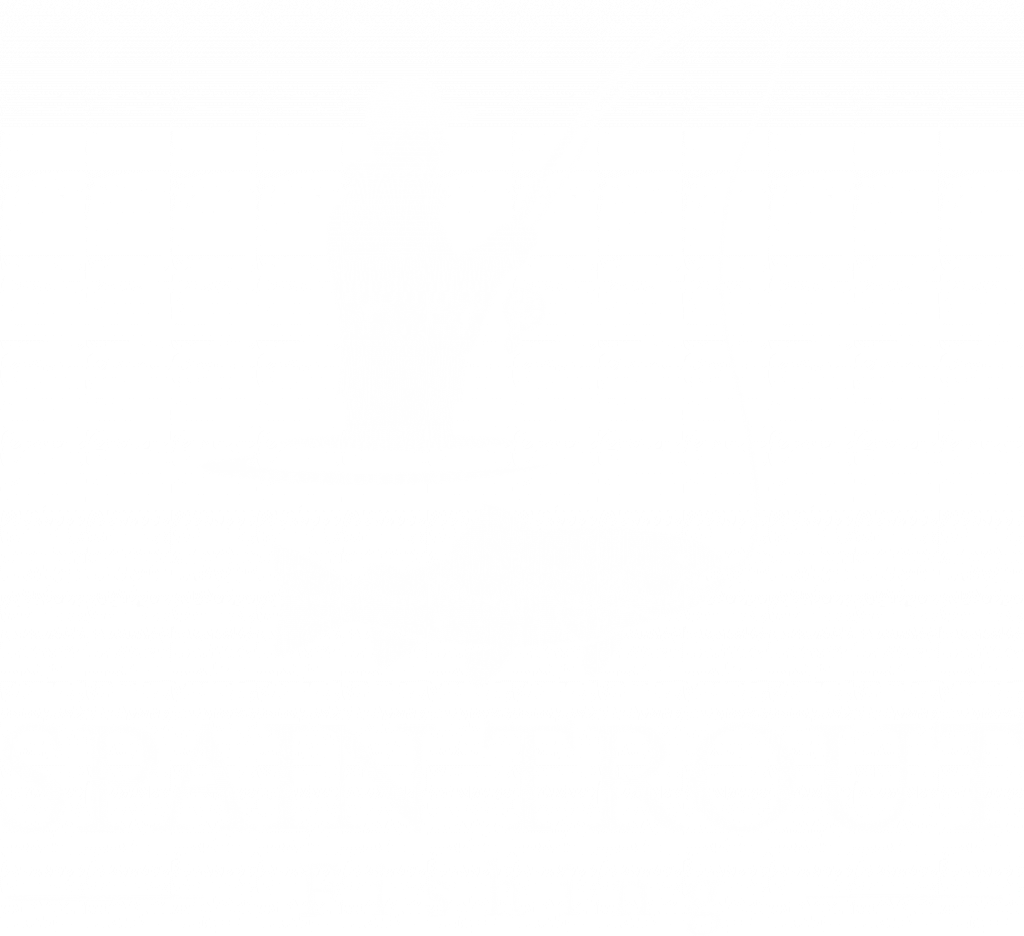 spaintroutfishing.com logo