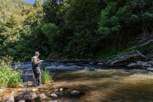 Person Fly fishing in Asturias